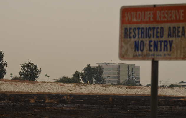 Fire_Aftermath
