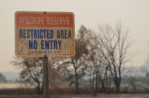 Wasteland